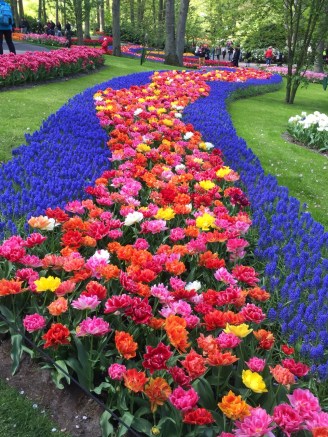 Flowers, Flowers, Flowers