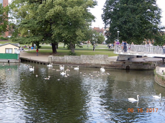 6A5DF488-8FF6-47CA-AF0F-D178762A941B