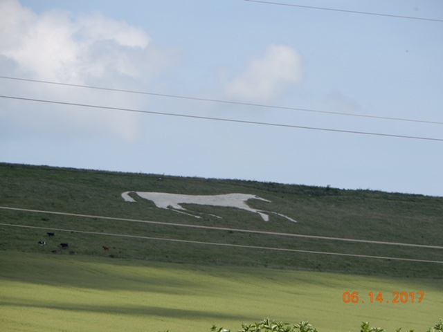 8E14148C-DA23-41CE-8043-36D1D69A848E