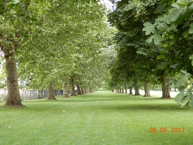 27F281AC-EED2-47E4-8878-4DC84F8BFA5C