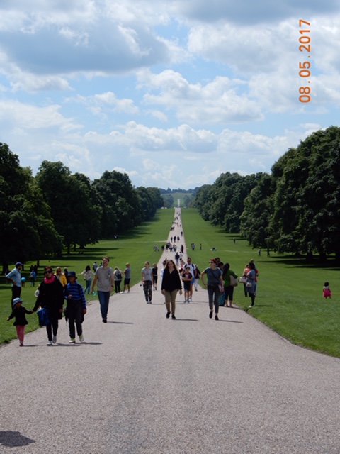 FEA5DAE5-3176-4E05-9E9C-DF53AE79CBE2